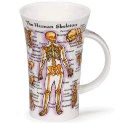 DUNOON Glencoe The Human Body (Skeleton & Muscles) Mug