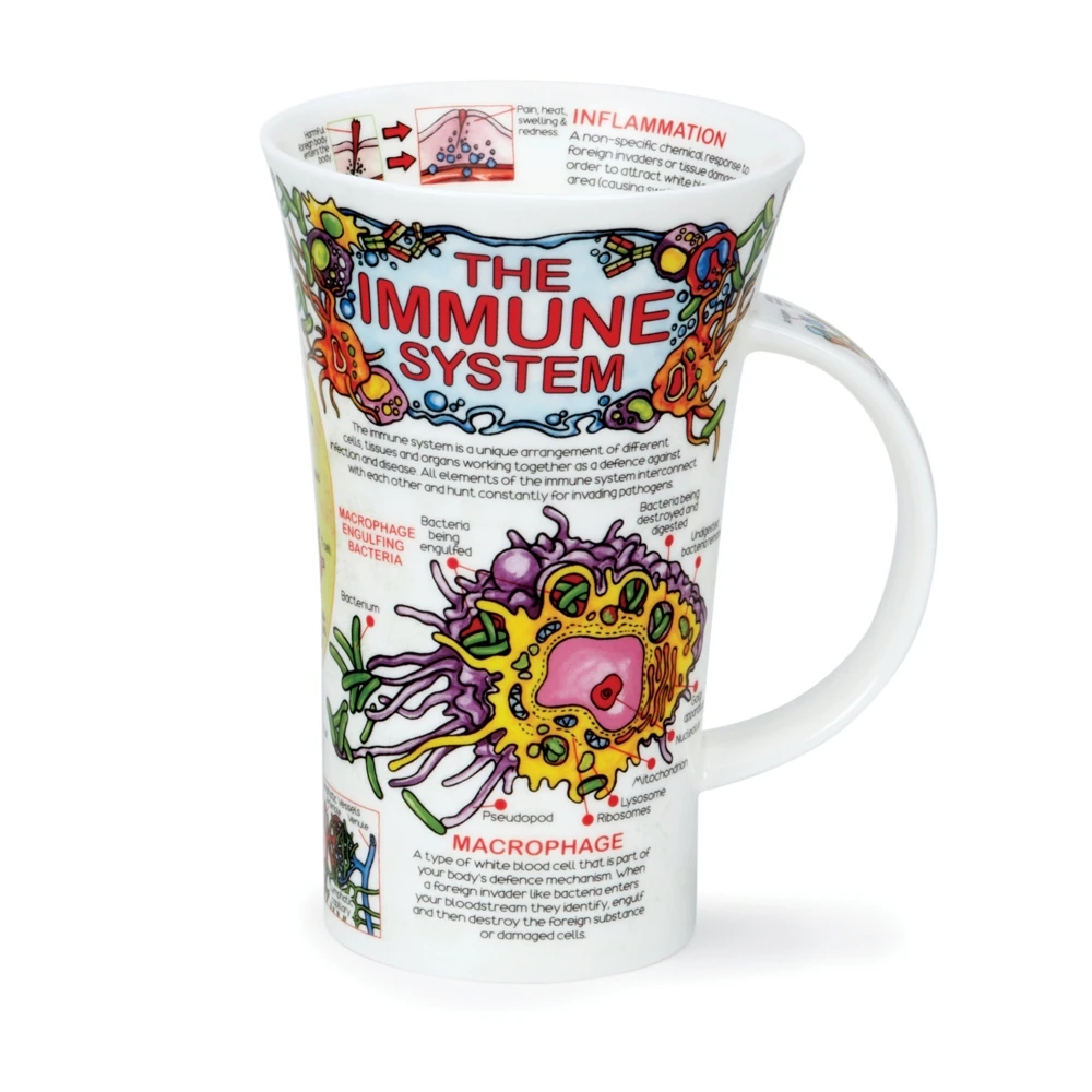 DUNOON Glencoe The Immune System Mug - Image 2