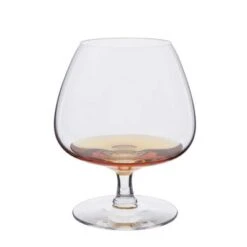 DARTINGTON Rachael Brandy Glass Single ST804