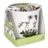BOTANIC GARDEN Orchid Pot BG88005