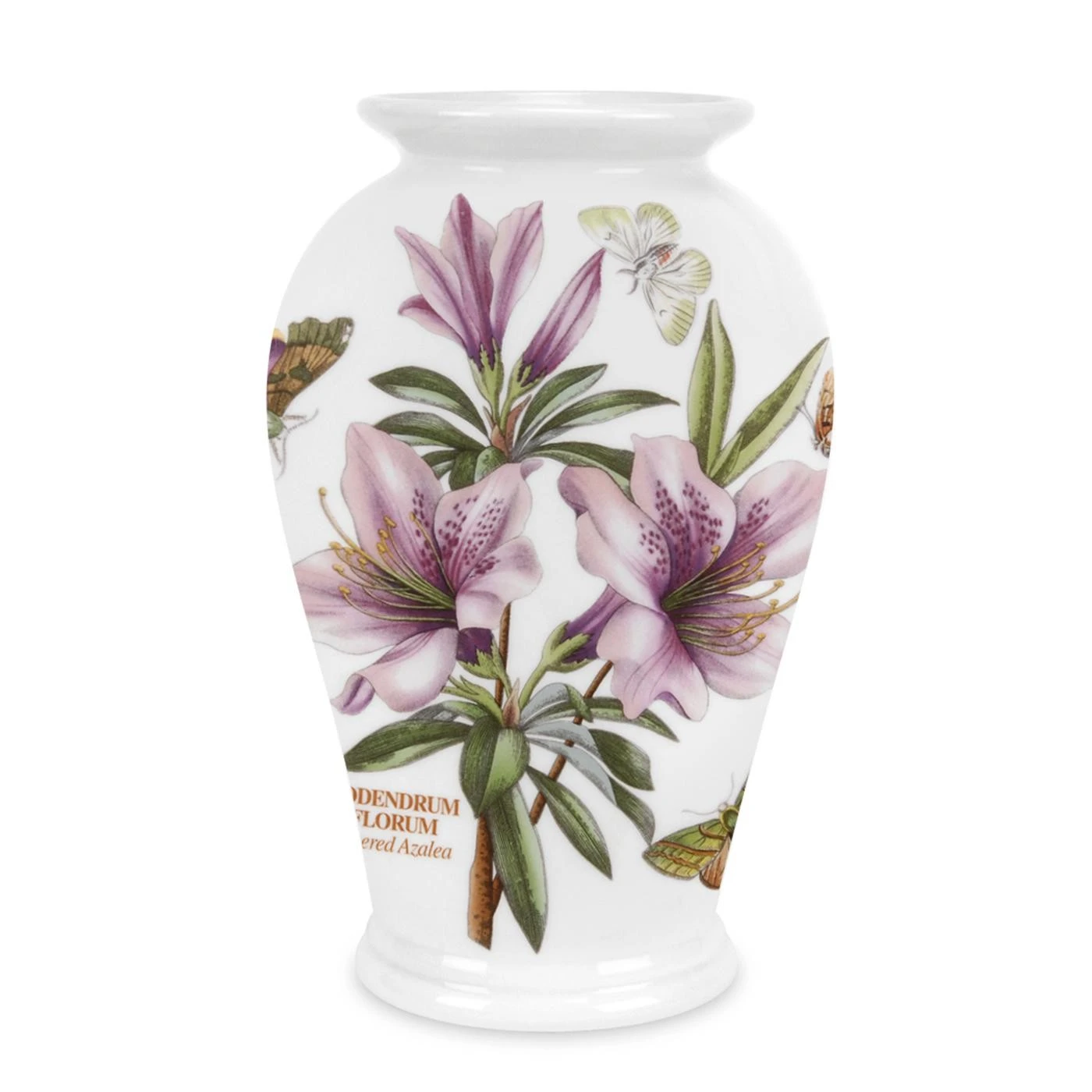 BOTANIC GARDEN Canton Vase 8" Lily Flowered Azalea BG58050