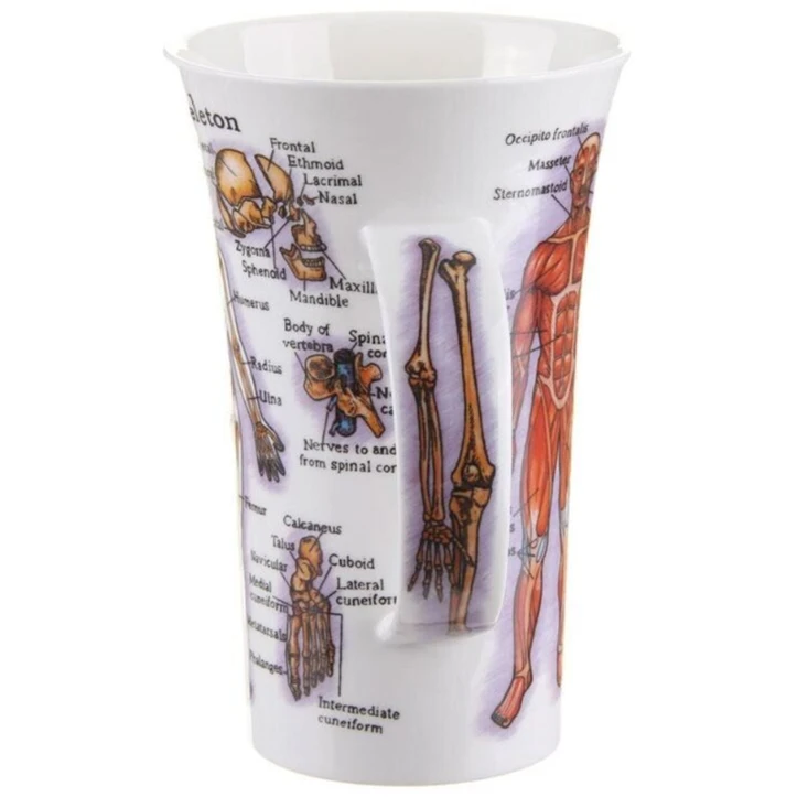 DUNOON Glencoe The Human Body (Skeleton & Muscles) Mug - Image 2